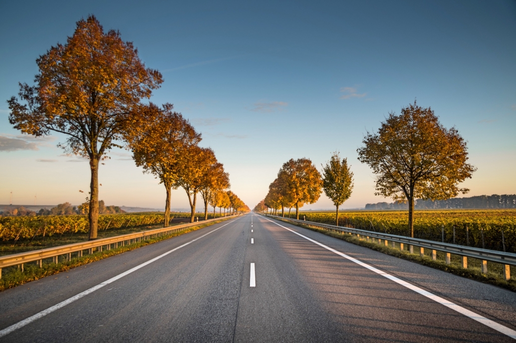 Carretera infraestructuras sostenibles e integrada en el entorno con trazado y detalles cuidados con árboles y bionda barrera de seguridad y pintura alcídica en pavimento bituminoso
