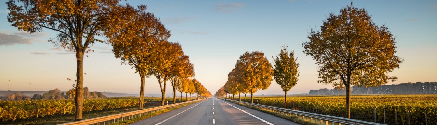 Carretera infraestructuras sostenibles e integrada en el entorno con trazado y detalles cuidados con árboles y bionda barrera de seguridad y pintura alcídica en pavimento bituminoso