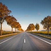 Carretera infraestructuras sostenibles e integrada en el entorno con trazado y detalles cuidados con árboles y bionda barrera de seguridad y pintura alcídica en pavimento bituminoso